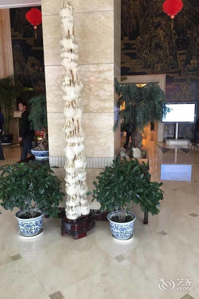 Shanshui Hotel 南京市 エクステリア 写真